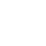 Tiotropium bromide monohydrate