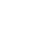 VICURE 55