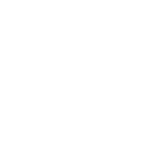 methyl valeroyl chloride
