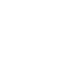 Vinyl-2-ethyl hexanoate
