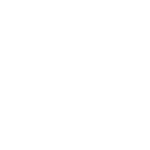 Ethyl isobutyrate