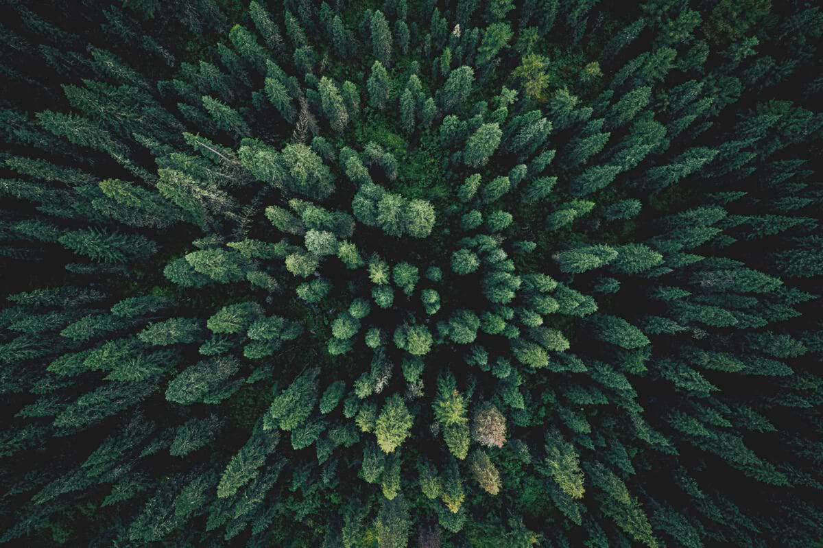Environment & Climate Change: our commitments - SEQENS