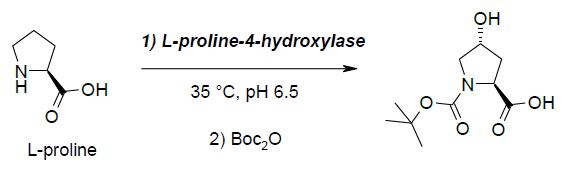 L-proline-4-hydroxylase