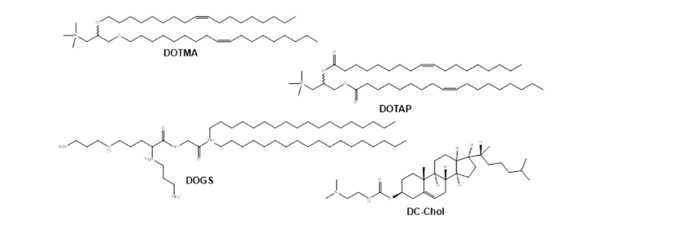 Figure 5: Cationic Lipids. Chemical structures of lipids used in T cell transfection. 